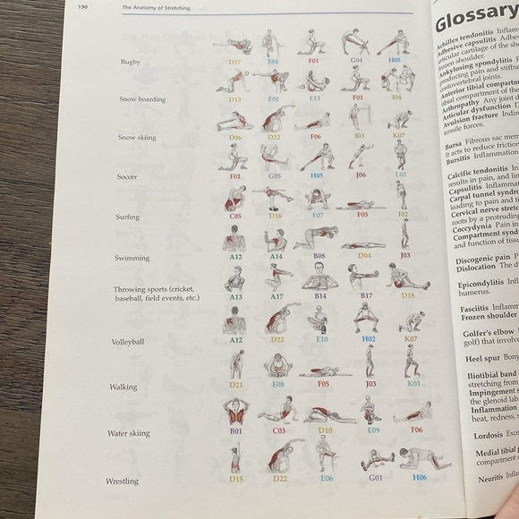 Brad Walker the anatomy of stretching second edition soft cover book - Picture 9 of 11